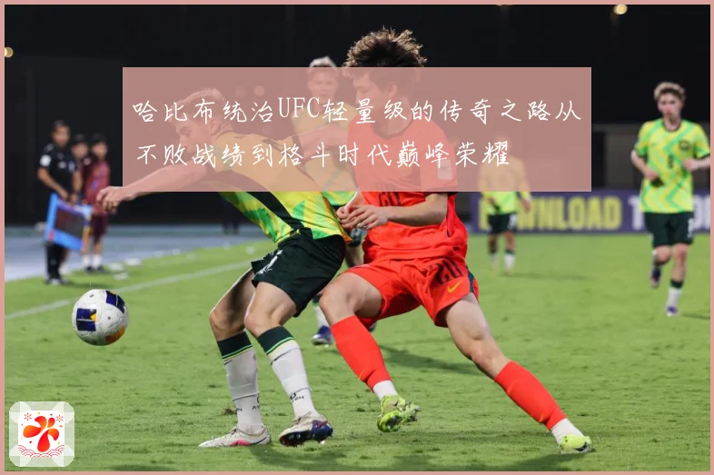 哈比布统治UFC轻量级的传奇之路从不败战绩到格斗时代巅峰荣耀